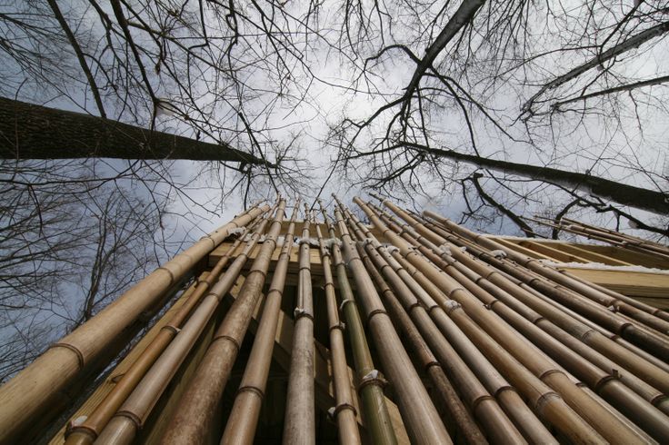 Bambu juga bisa di asapi agar umurnya lebih awet