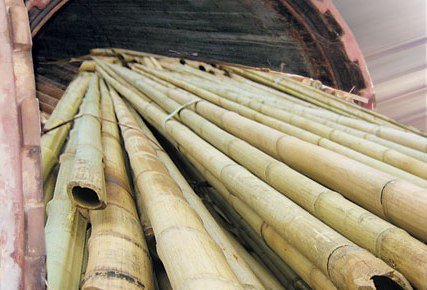 Bambu, selain bisa menggunakan metode pengawetan tradisional, juga bisa dengan cara kimia